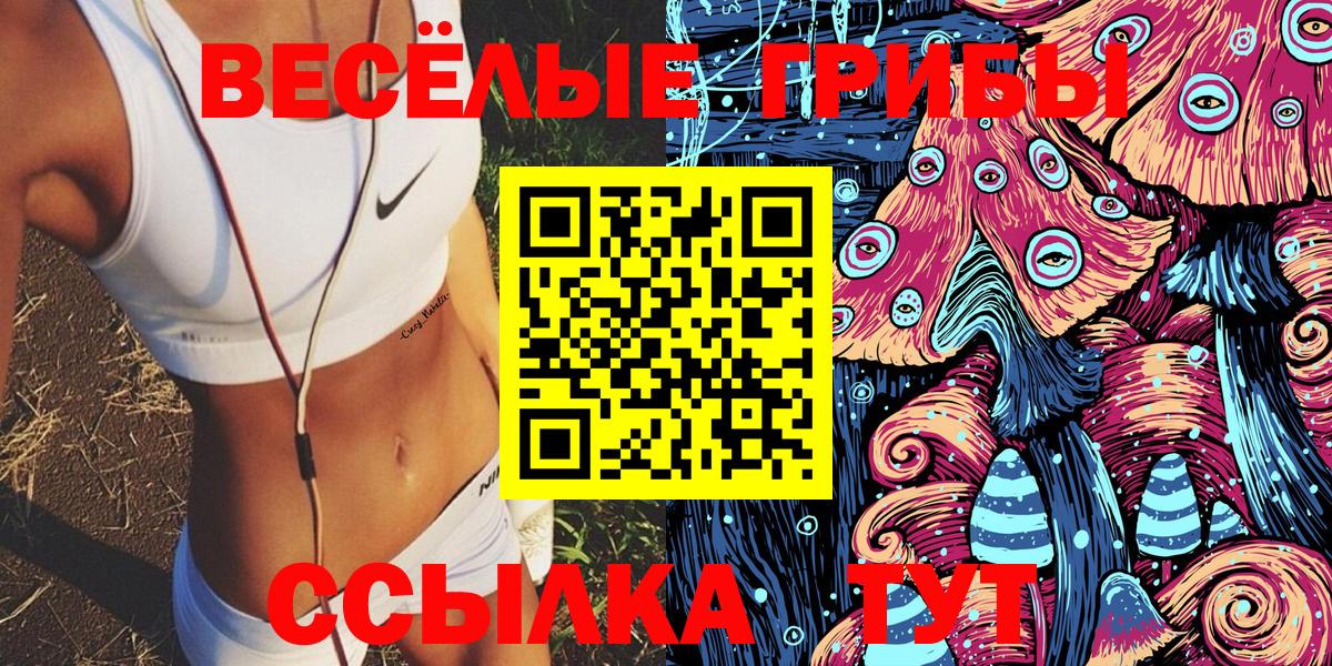 Орск  Галлюциногенные грибы Psilocybe  Вход с VPN 